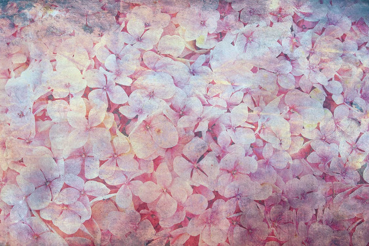 Fototapetes - Koku maģija (pirmā versija) 375x250 cm D-ART