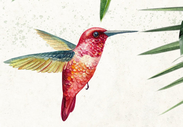Fototapetes guļamistabai ar kolibri un papagaiļiem, dabiskas krāsas G-ART