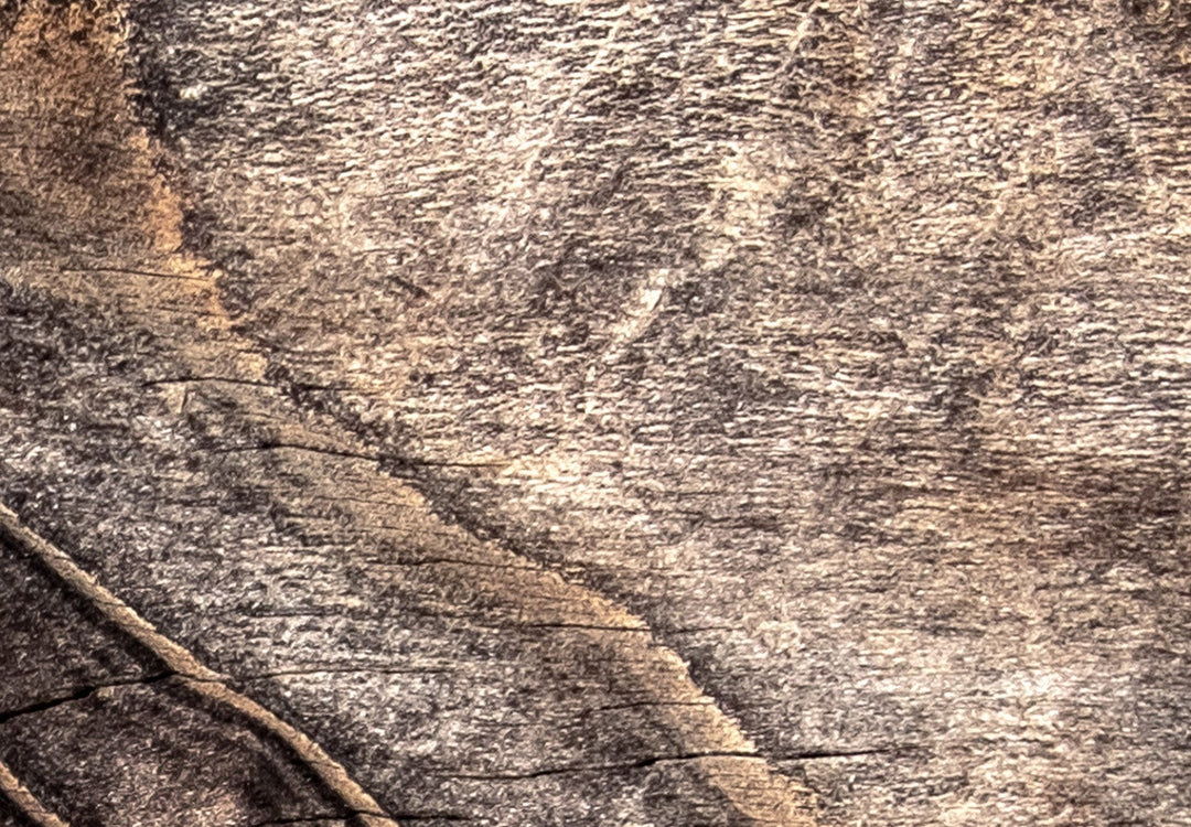 Fototapetes ar koka tekstūru, Pine Cone krāsā G-ART