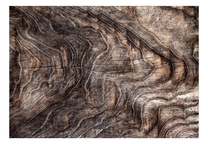Fototapetes ar koka tekstūru, Pine Cone krāsā G-ART