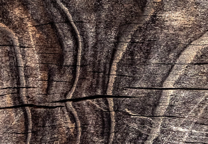 Fototapetes ar koka tekstūru, Pine Cone krāsā G-ART