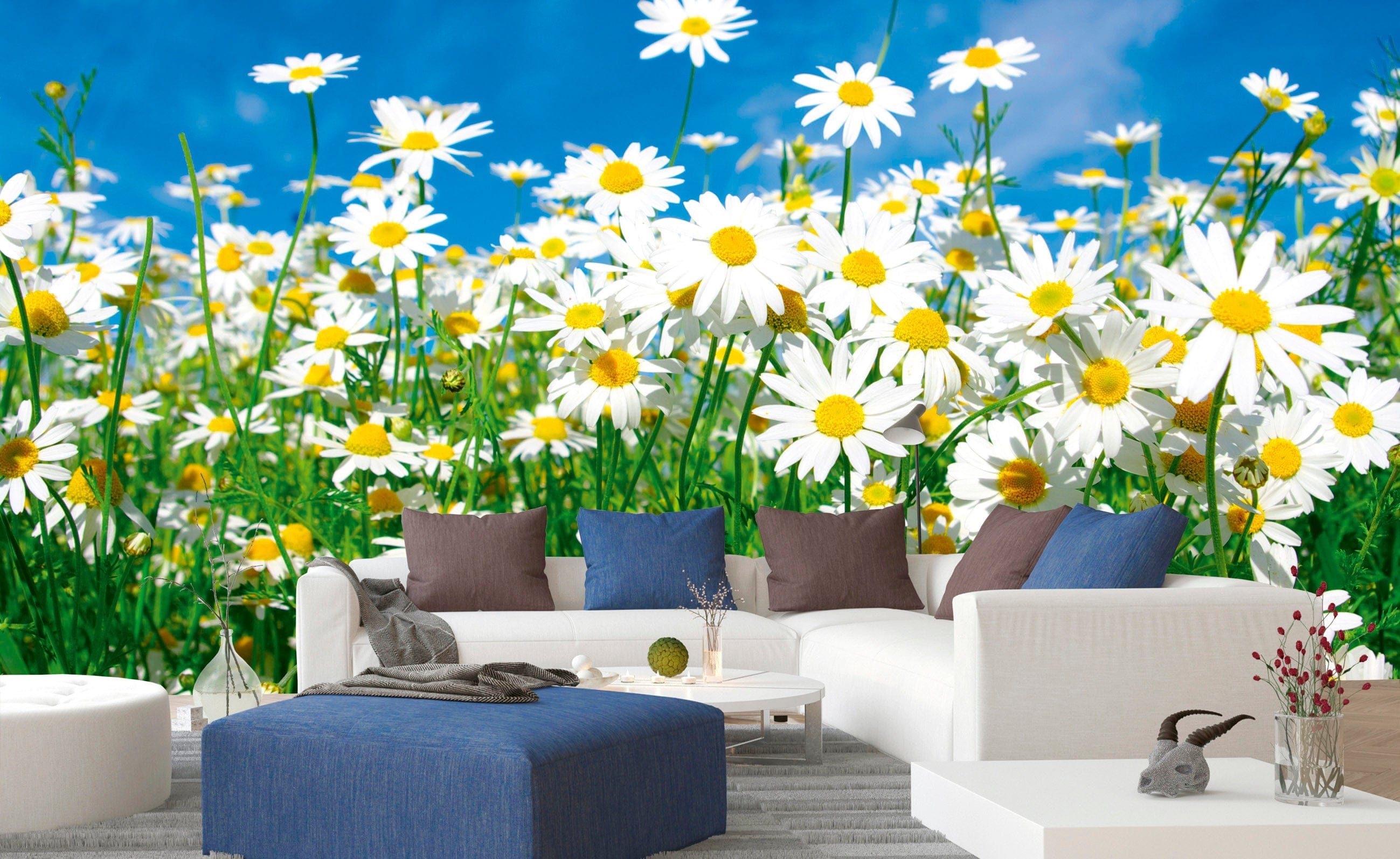 Wall Murals