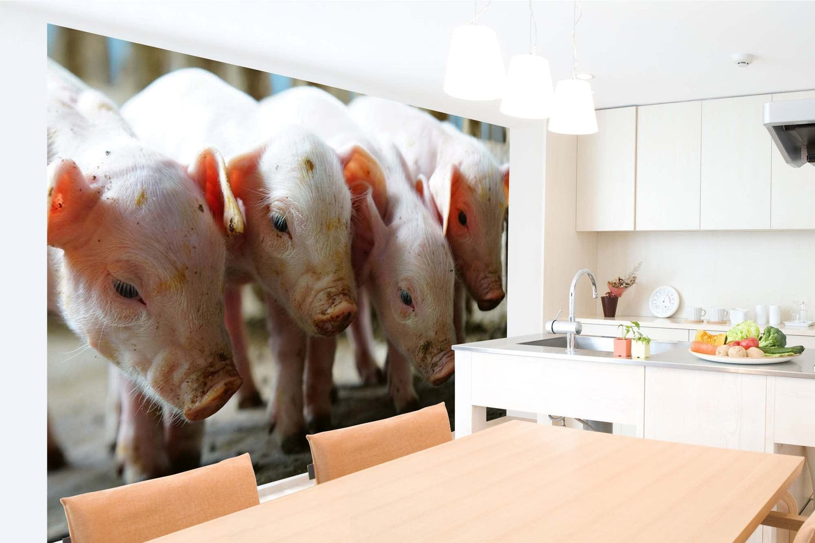 Fototapetes - Mazas cūciņas, 375x250 cm D-ART