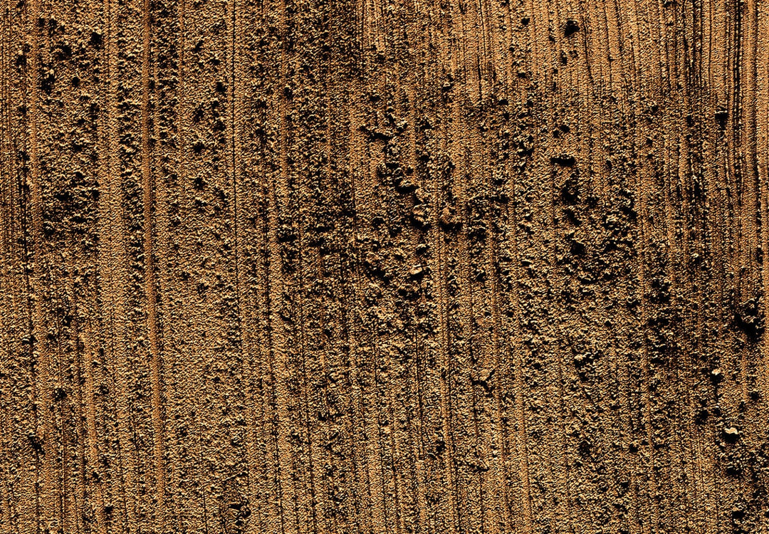 Fototapetes ar dabas tekstūru,  Brown Bear krāsā G-ART