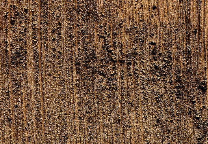 Fototapetes ar dabas tekstūru,  Brown Bear krāsā G-ART