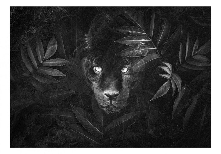 Fototapetes - Melnā pantera G-ART