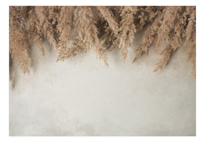 Fototapetes ar niedrēm, French Beige krāsā G-ART