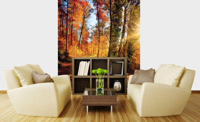 Fototapetes ar rudens mežu - izjūti dabu savas mājās G-ART