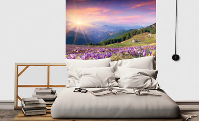 Fototapetes ar pavasara krokusiem kalnos un satriecošu skatu  G-ART