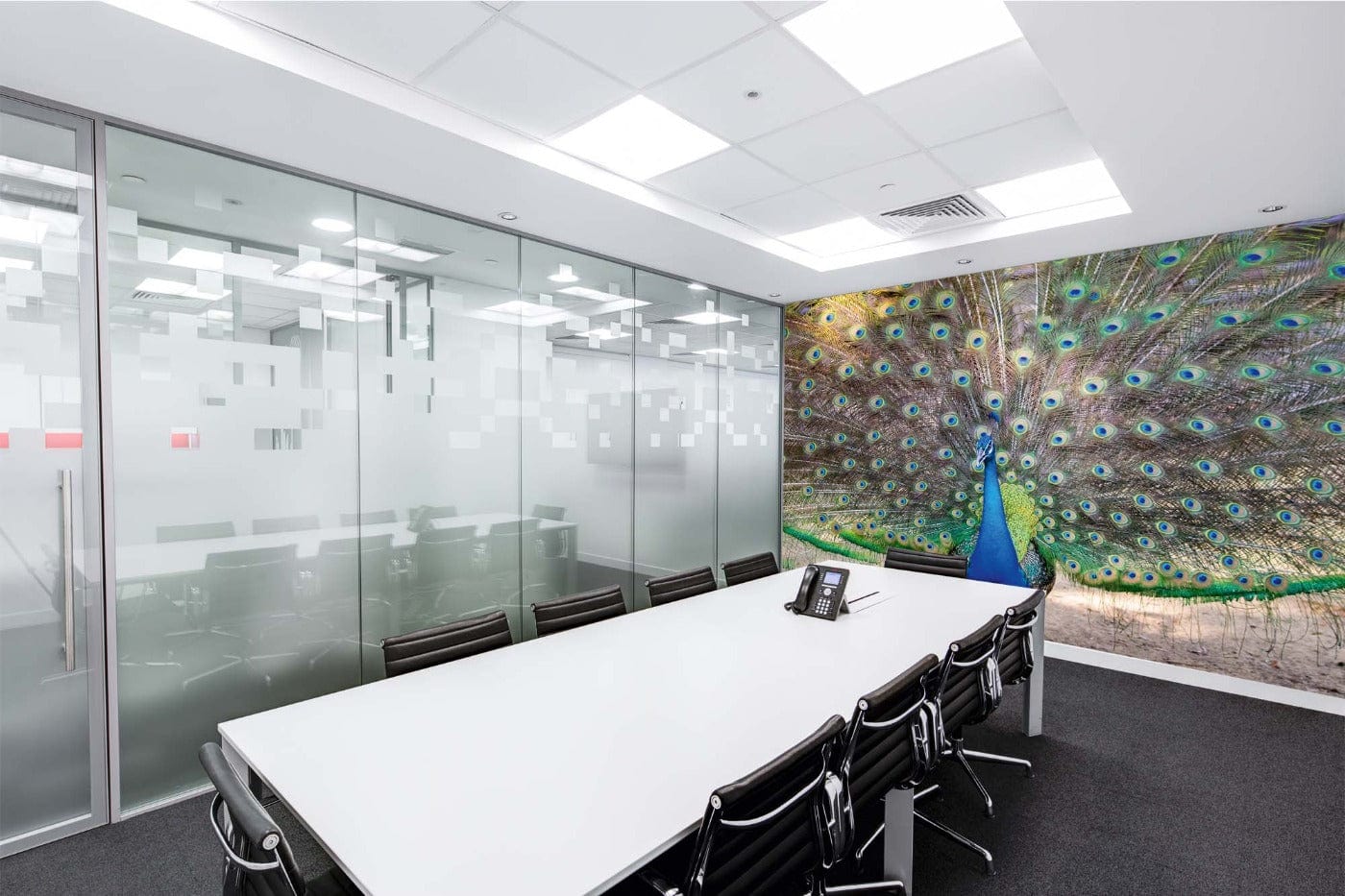 Fototapetes Pāvs ar skaistām spalvām - D406, 375x250 cm D-ART