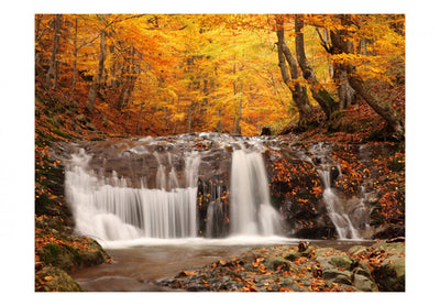 Фотообои - Осенний пейзаж: водопад в лесу, 59845 G-ART