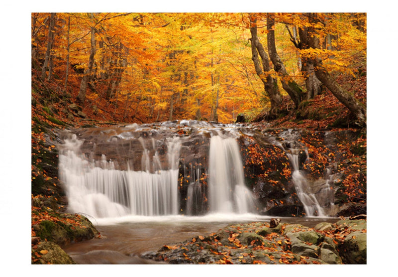 Wall Murals - Autumn landscape: waterfall in a forest, 59845 G-ART
