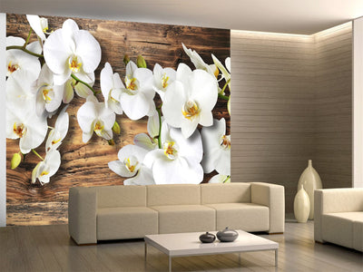 Fototapetes - Sniegbaltās orhidejas, 60629 G-ART