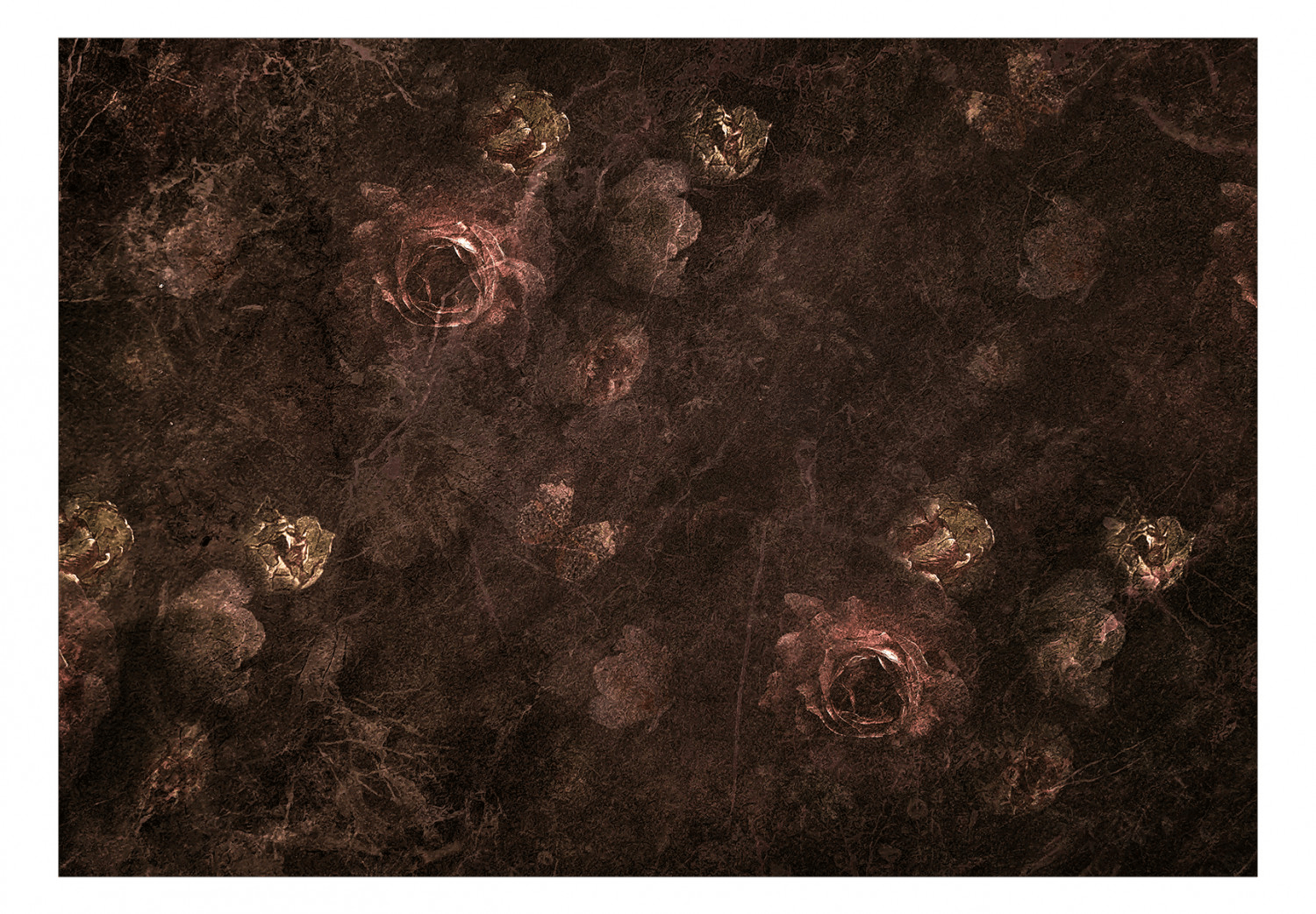 Fototapetes - Tumšās rozes (tumši sarkanā krāsā) G-ART