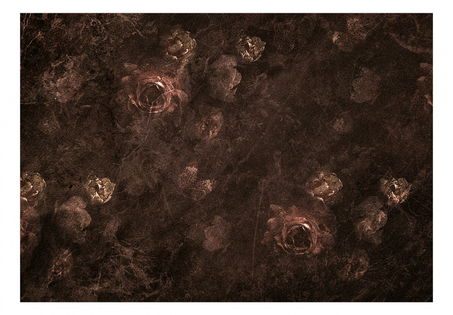Fototapetes - Tumšās rozes (tumši sarkanā krāsā) G-ART