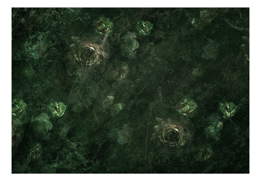 Fototapetes - Tumšās rozes (tumši zaļā krāsā) G-ART