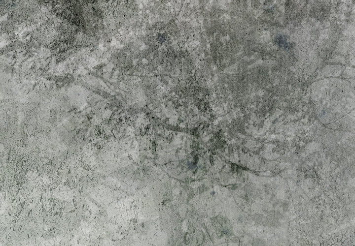 Fototapetes ar dabas motīvu tumši zaļā krāsā vintāžā stilā  137416 G-ART
