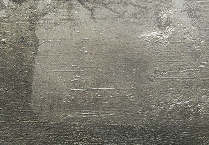 Fototapetes un vintāžas efektu - Dabas gaisma G-ART