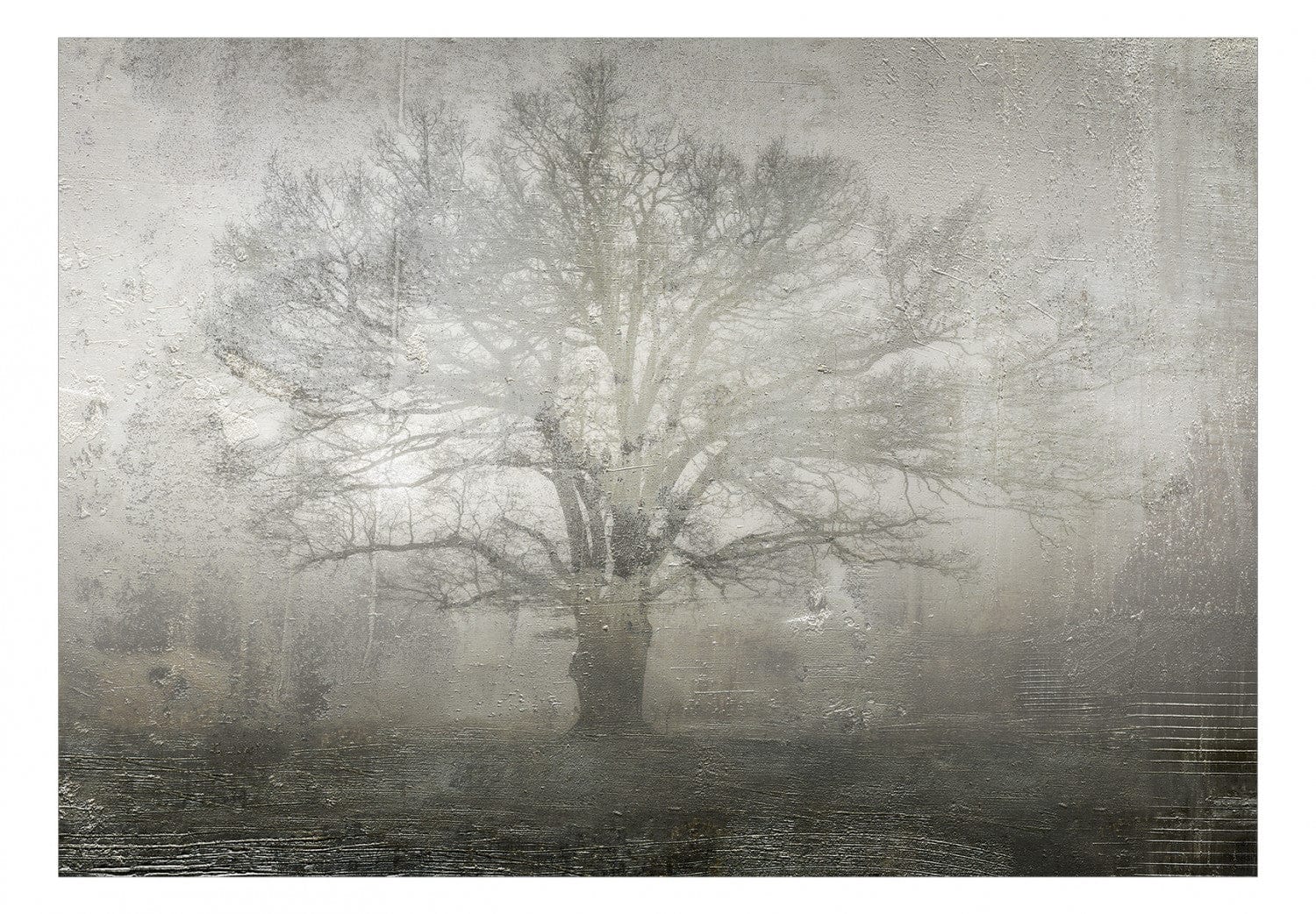 Fototapetes un vintāžas efektu - Dabas gaisma G-ART