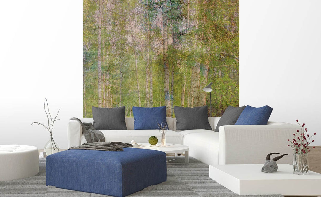 Fototapetes - Vintāžas bērzu birzs, 375x250 cm D-ART