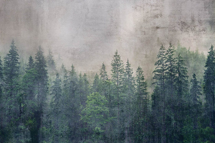 Fototapetes ar mežu vintāžas stilā, 375x250 cm D-ART