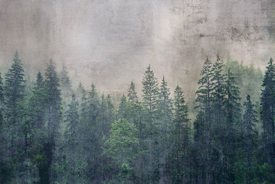 Fototapetes Vintāžas mežs D-ART