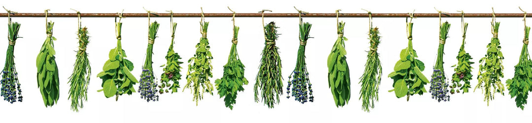 Pašlīmējošas laminētas fototapetes virtuvei - Garšaugi (260x60 cm) Art4home