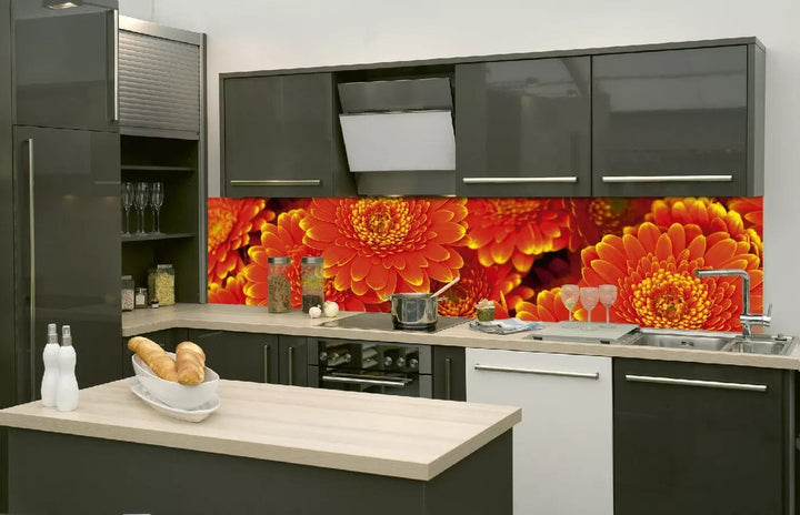 Laminētas pašlīmējošas fototapetes virtuvei - Gerberas (260x60 cm) Art4home