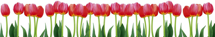 Art4home