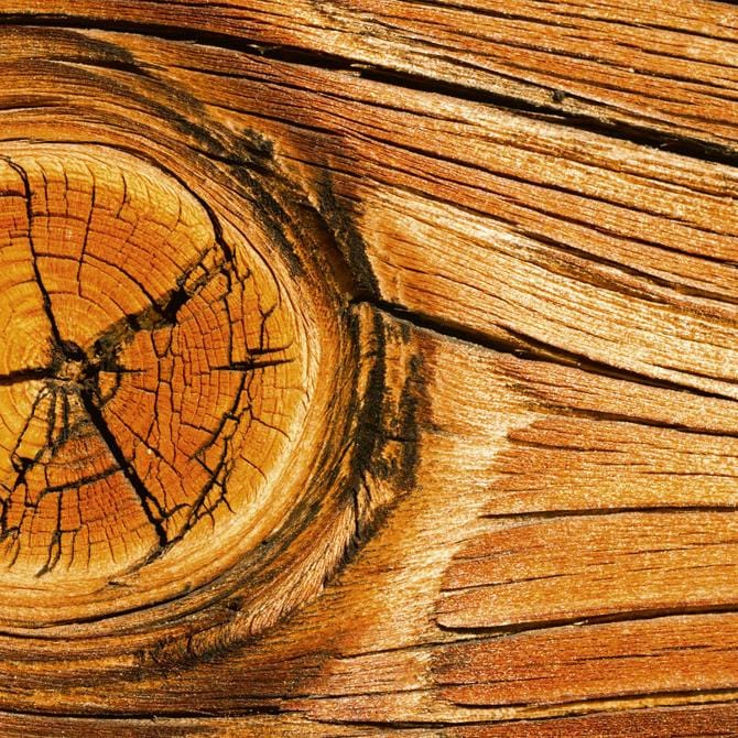 Laminētas fototapetes virtuvei - Koka mezgls  (260x60 cm) Art4home