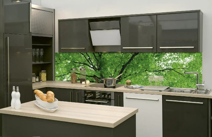 Pašlīmējošas fototapetes virtuvei - Koku galotnes (260x60 cm) Art4home