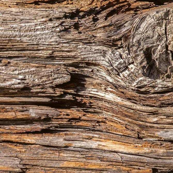 Laminētas pašlīmējošas fototapetes virtuvei - Koku miza (260x60 cm) Art4home