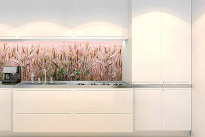 Fototapetes virtuvei ar lamināciju, pašlīmējošas plēve un flizelīns - Kviešu lauks (180x60 cm) Art4home