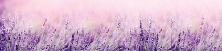 Pašlīmējošas fototapetes virtuvei ar ziedu rakstu - Lavanda  (260x60 cm) Art4home