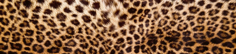 Fototapetes virtuvei ar lamināciju, pašlīmējošas plēve un flizelīns - Leoparda āda  (260x60 cm) Art4home