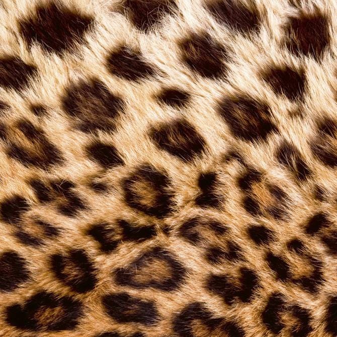 Pašlīmējošas fototapetes virtuvei - Leoparda āda  (260x60 cm) Art4home
