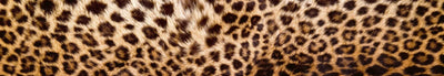 Fototapetes virtuvei ar lamināciju, pašlīmējošas plēve un flizelīns - Leoparda āda (350x60 cm) Art4home