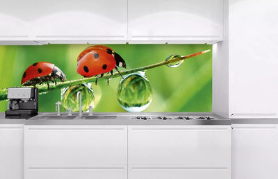 Fototapetes virtuvei ar lamināciju, pašlīmējošas plēve un flizelīns - Mārīte  (180x60 cm) Art4home