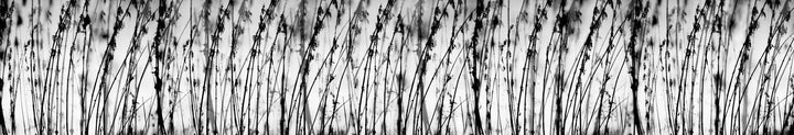 Art4home