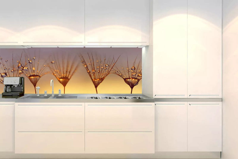 Fototapetes virtuvei ar lamināciju, pašlīmējošas plēve un flizelīns - Pilieni uz pienenes (180x60 cm) Art4home