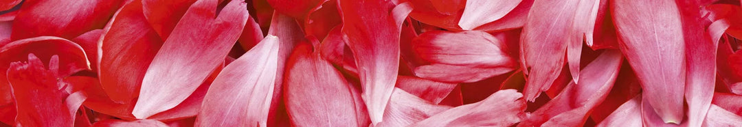 Art4home