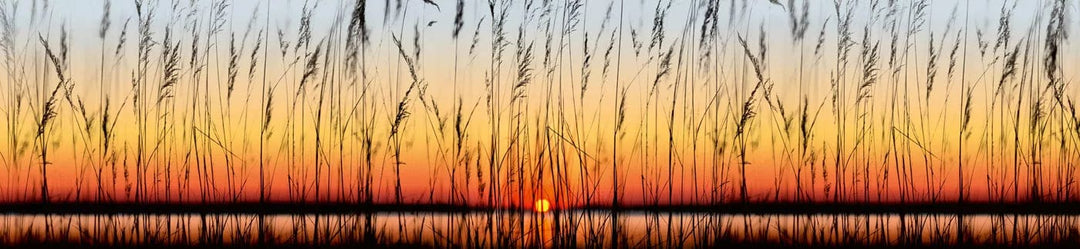Pašlīmējošas fototapetes virtuvei - Saulriets  (260x60 cm) Art4home