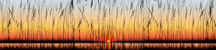 Pašlīmējošas fototapetes virtuvei - Saulriets  (260x60 cm) Art4home