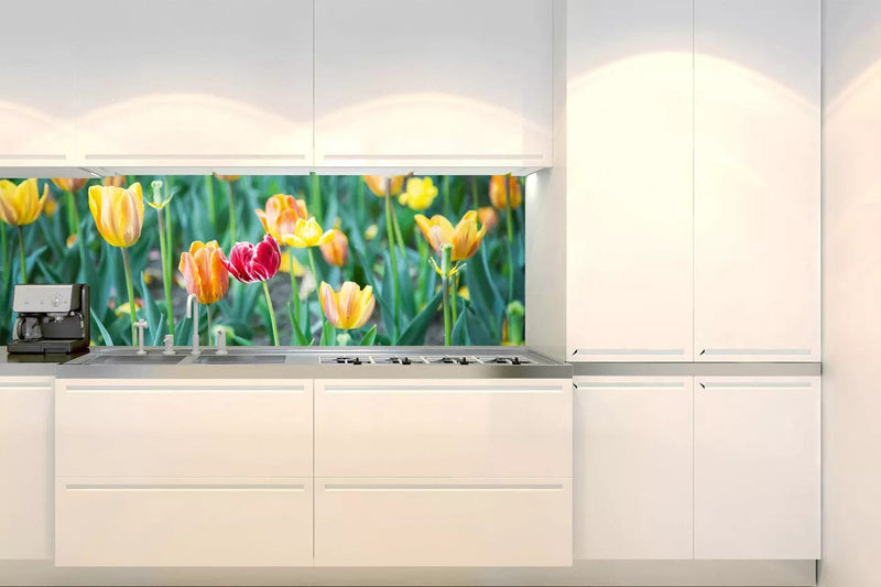Fototapetes virtuvei ar lamināciju, pašlīmējošas plēve un flizelīns - Tulpes  (180x60 cm) Art4home