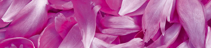 Pašlīmējošas fototapetes virtuvei - Violetās ziedlapiņas  (260x60 cm) Art4home