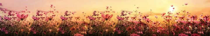 Art4home