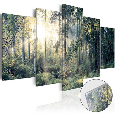 Glezna uz akrila stikla ar meža skatu - Pasaku ainava Artgeist