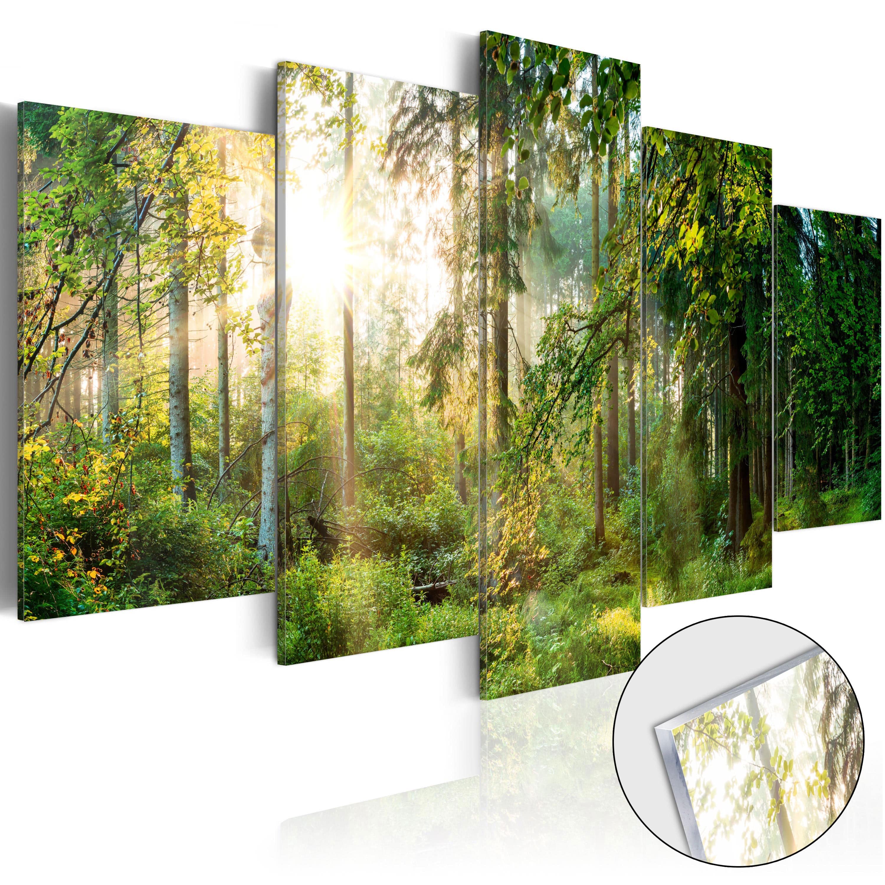 Paintings