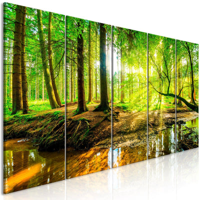 Glezna ar saulainu mežu - Meža straume (5 daļas) Šaura Tapetenshop.lv.