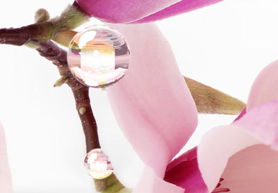 Paveikslai ant drobės Magnolijos virš vandens (5 vnt.), rožinės spalvos, 123643 G-ART.